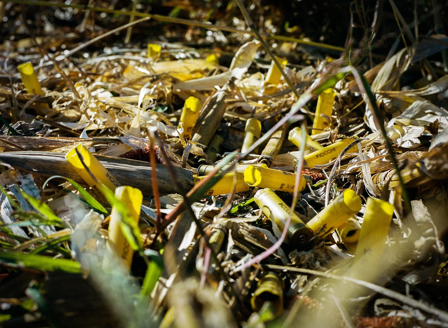 04003 - Hunting Photographer.jpg