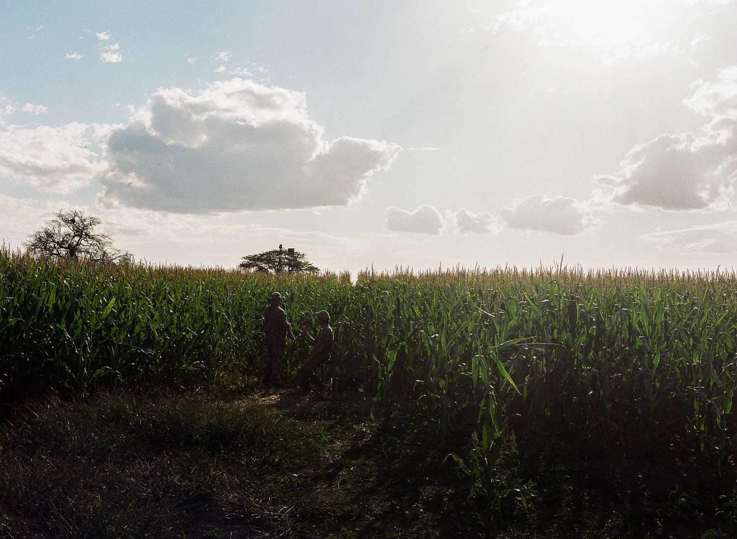 04009 - Rural Photography.jpg