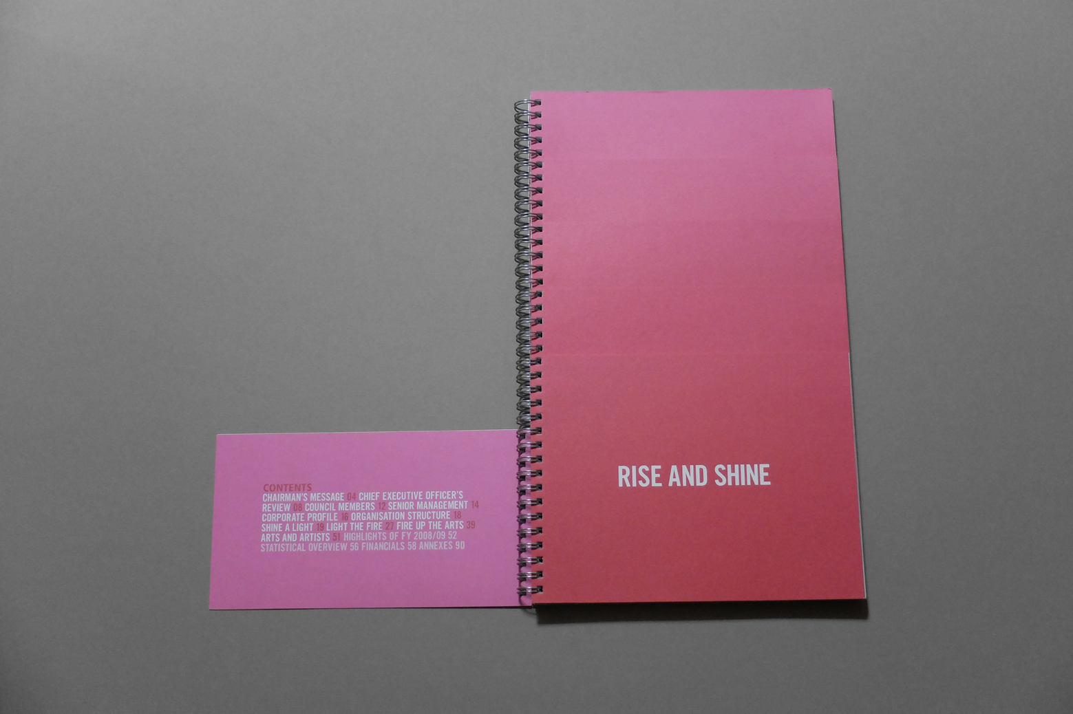 nac_arts on the rise_8.jpg