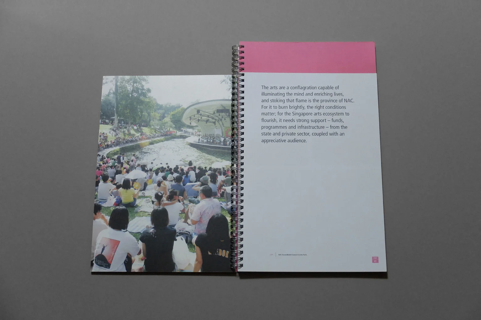 nac_arts on the rise_20.jpg