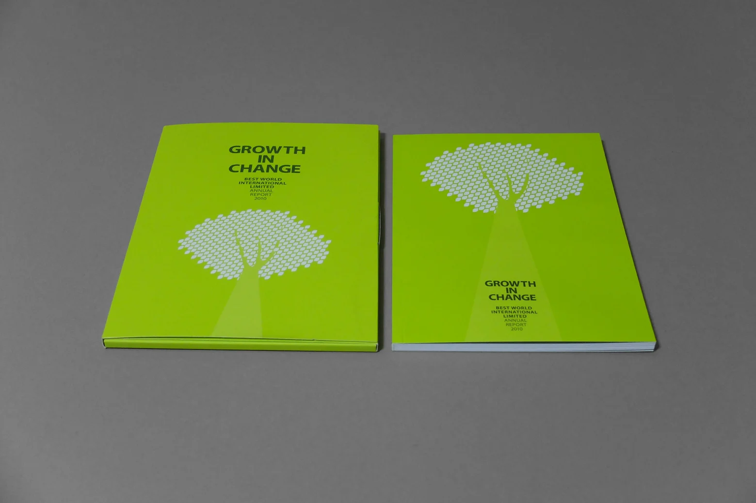 Bestworld_Growth in Change_2.jpg
