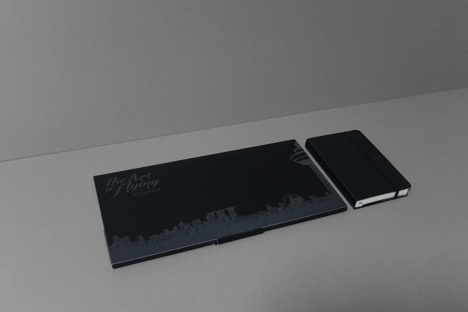 CAAS_The Art of Flying_2.jpg