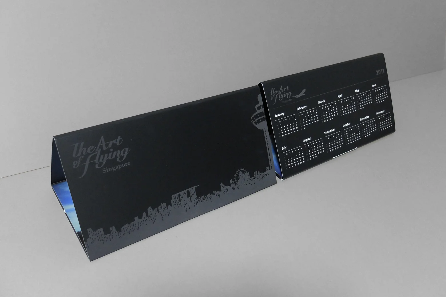 CAAS_The Art of Flying_5.jpg