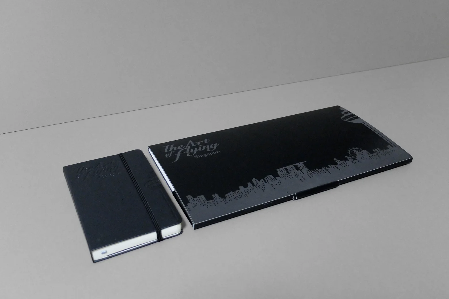 CAAS_The Art of Flying_1.jpg