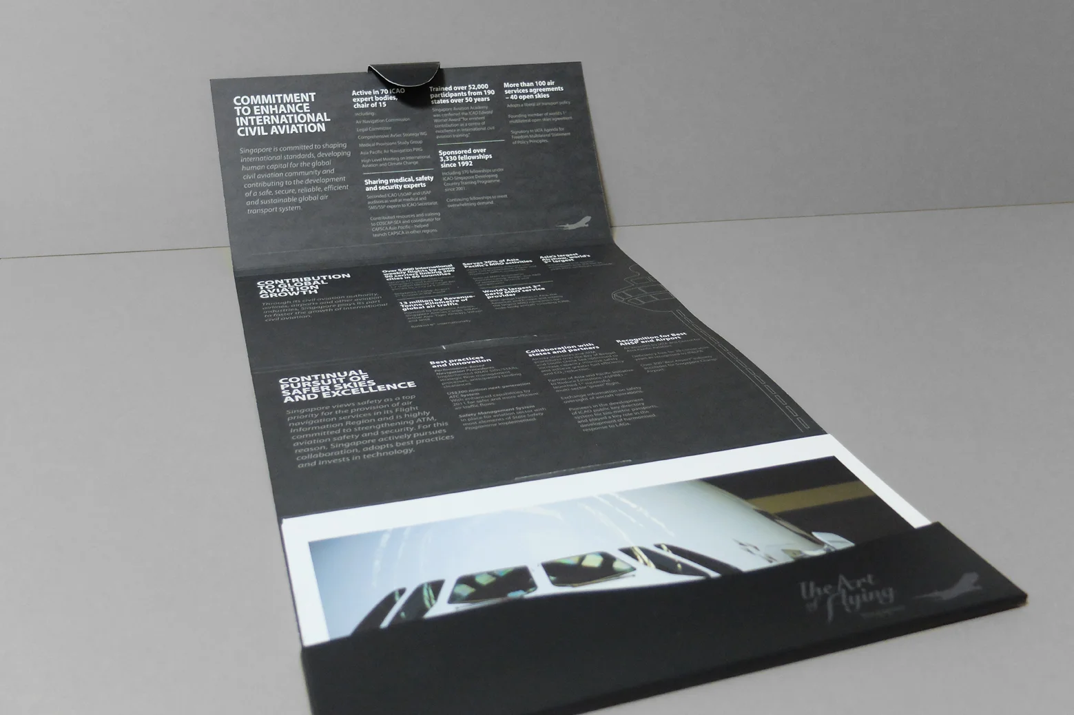 CAAS_The Art of Flying_9.jpg