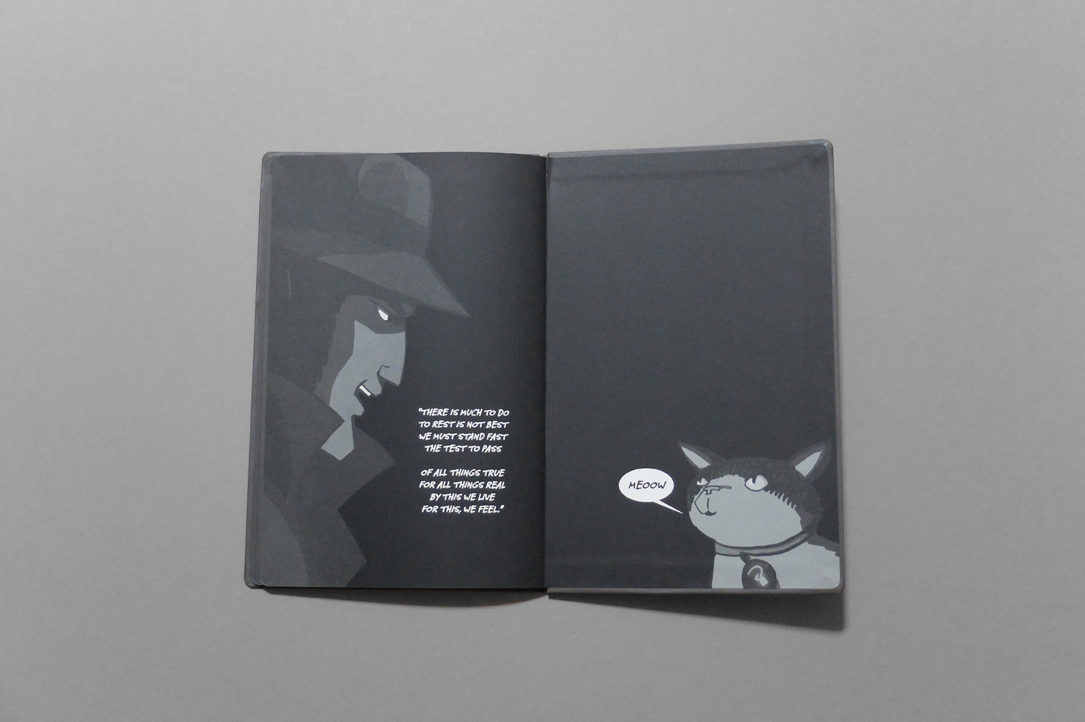 ipos_detective ip_13.jpg