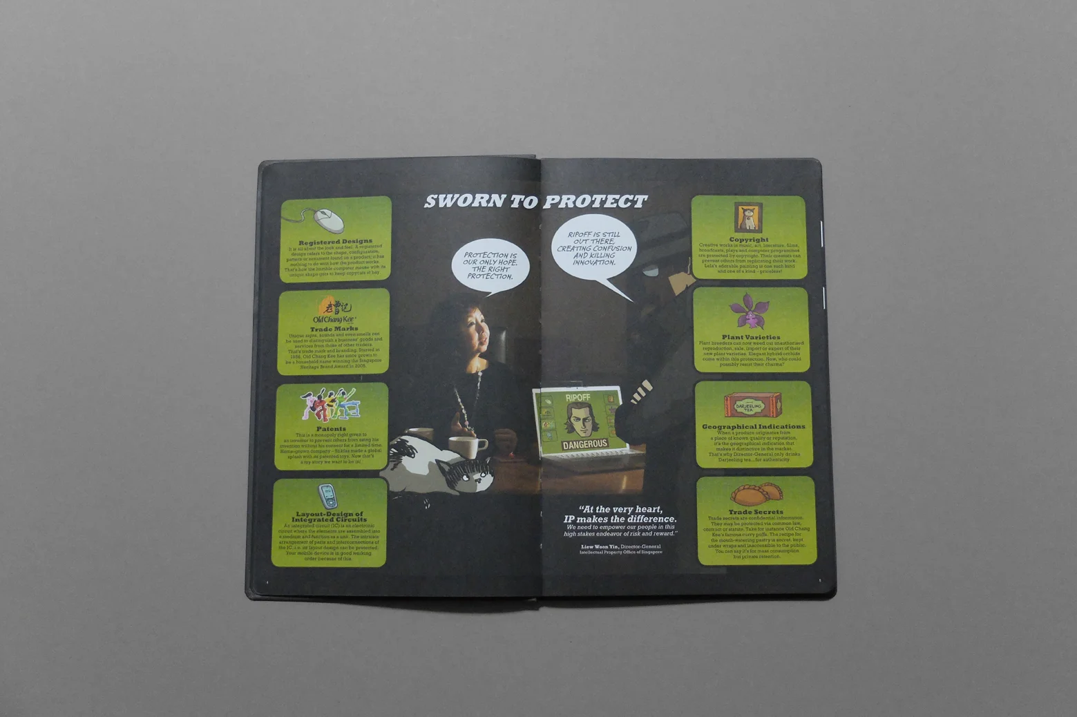 ipos_detective ip_10.jpg