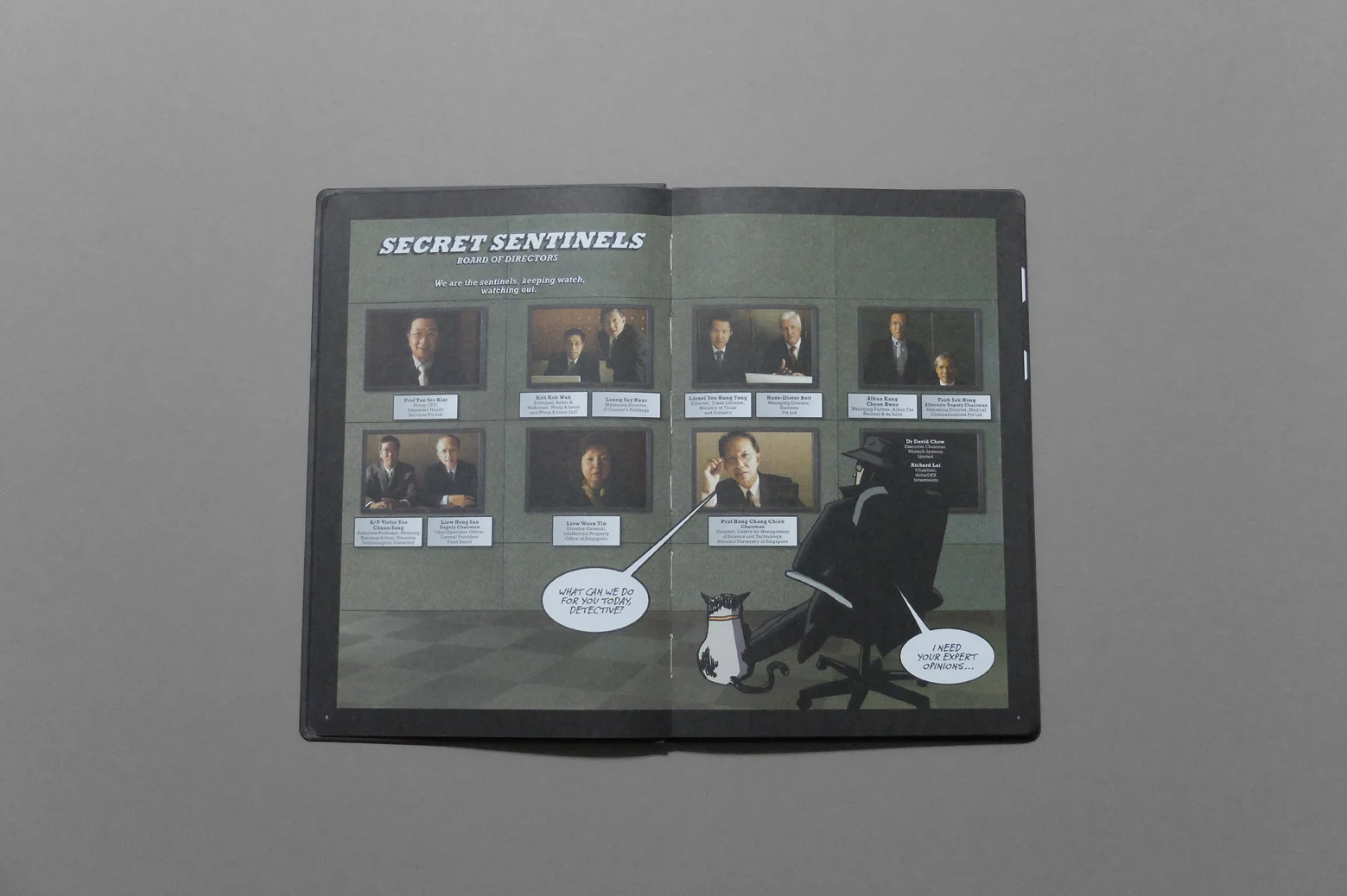 ipos_detective ip_11.jpg