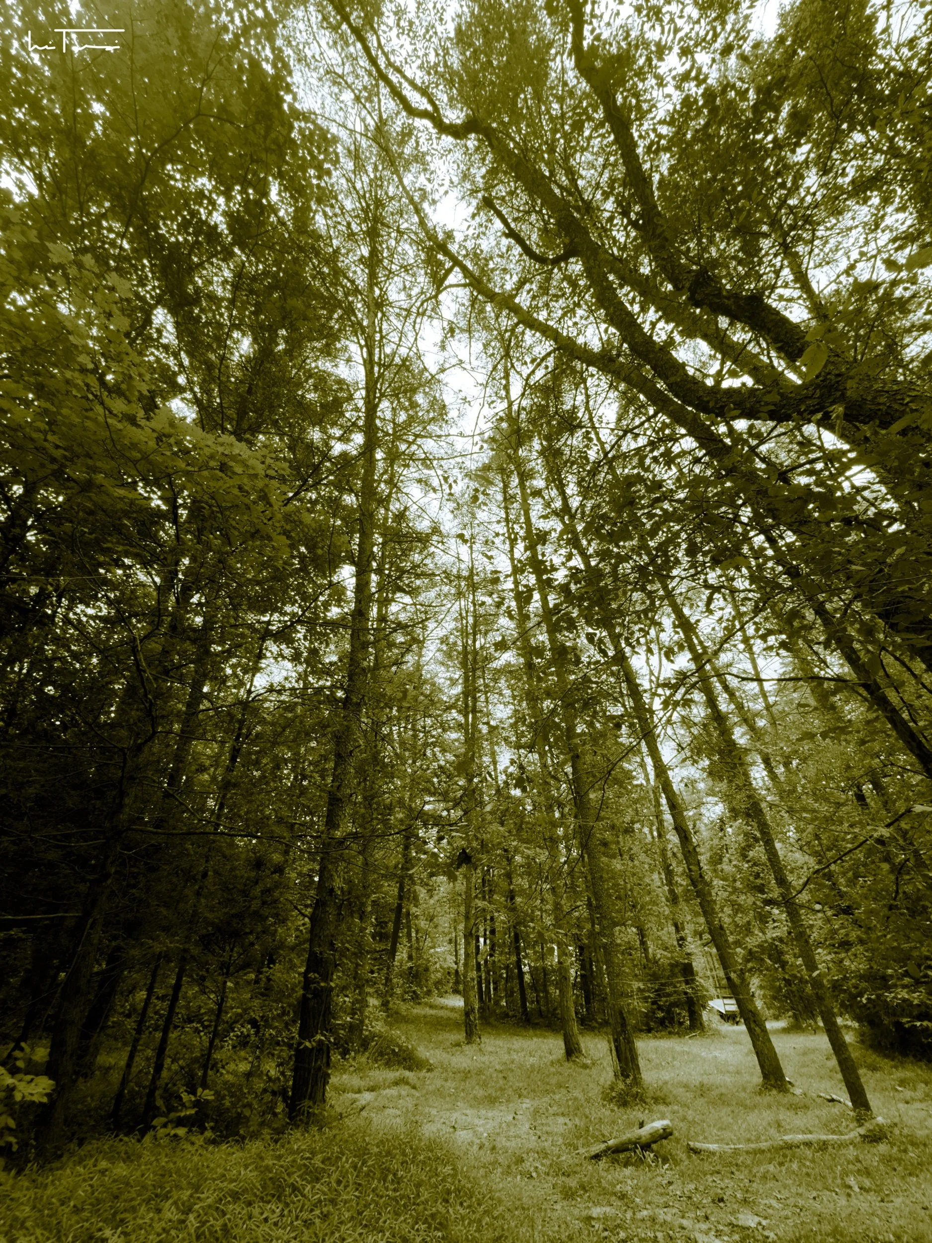 IMG_9712.jpeg