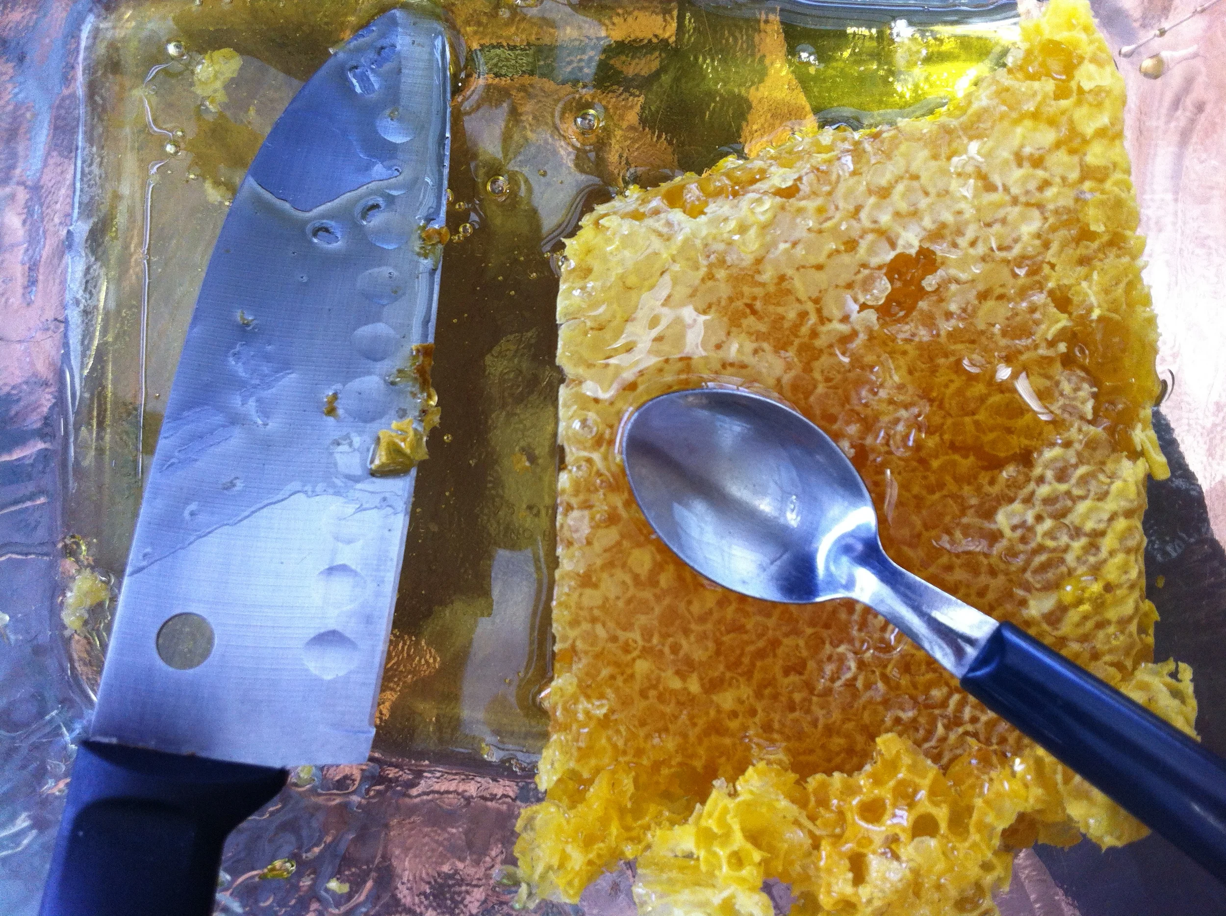 unspuhoney banner.JPG