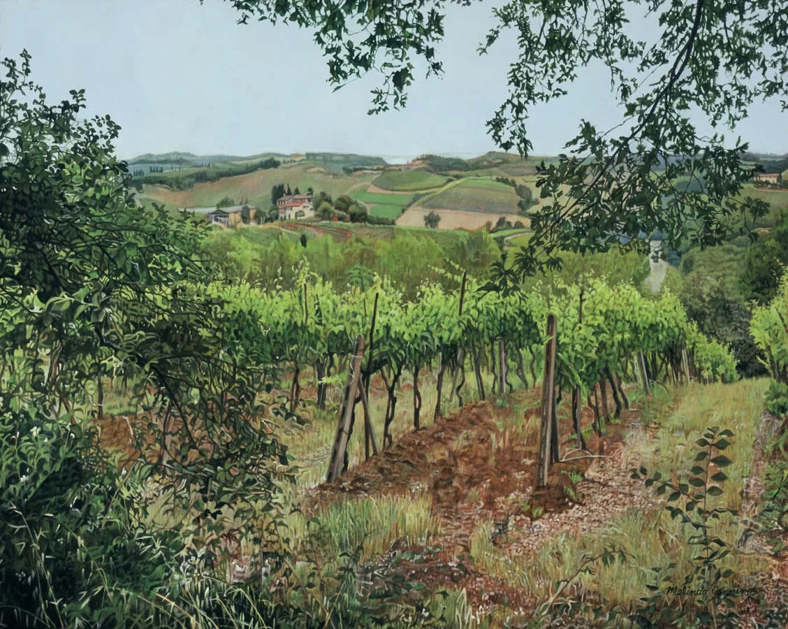 Tuscan Vineyard