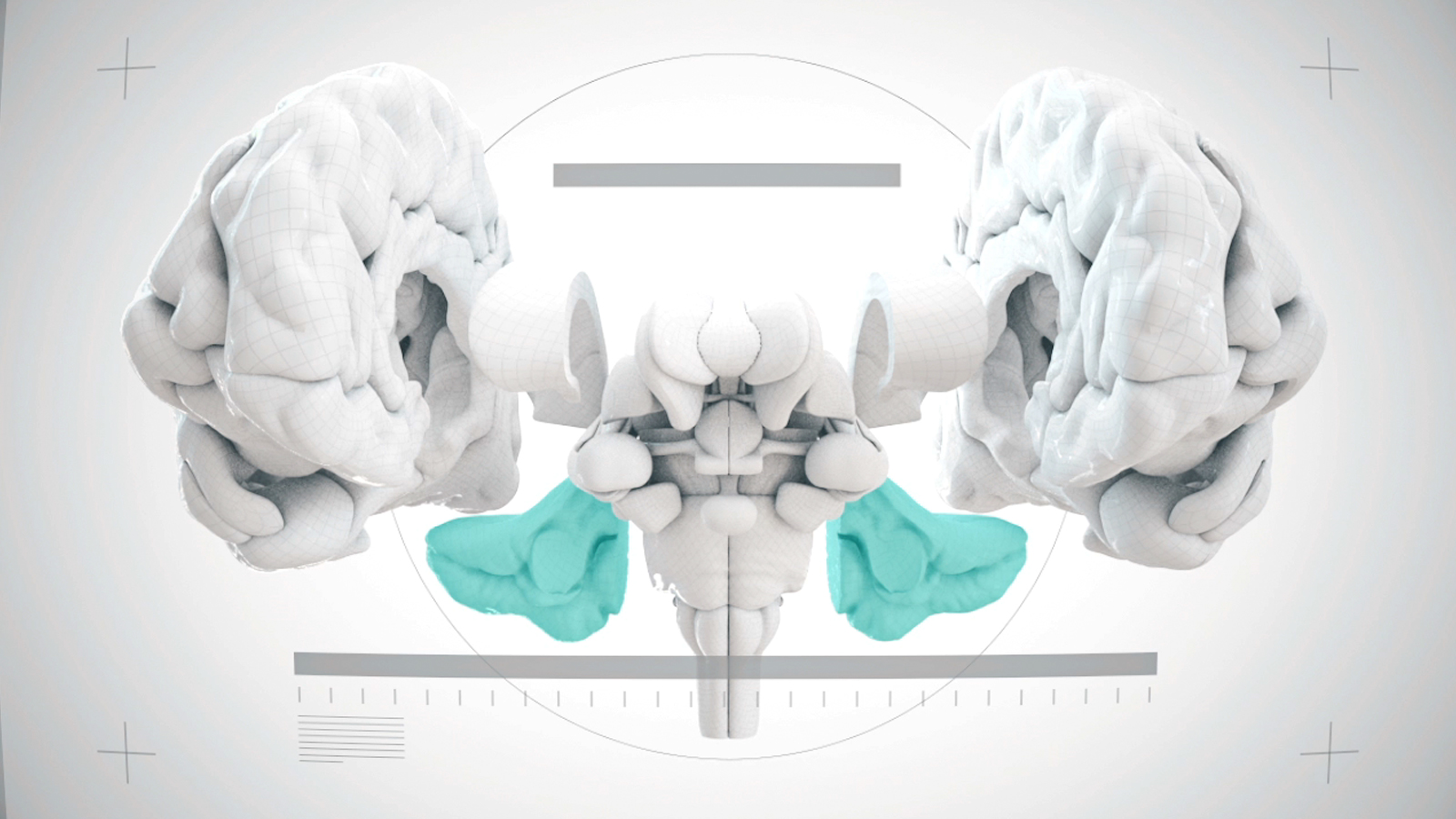 TCLD::Visualisation