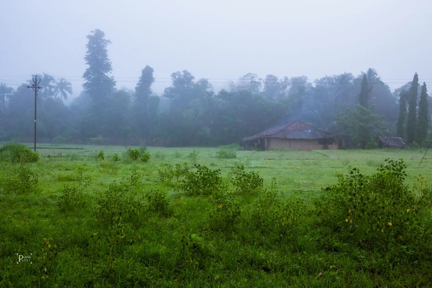 Morning mist