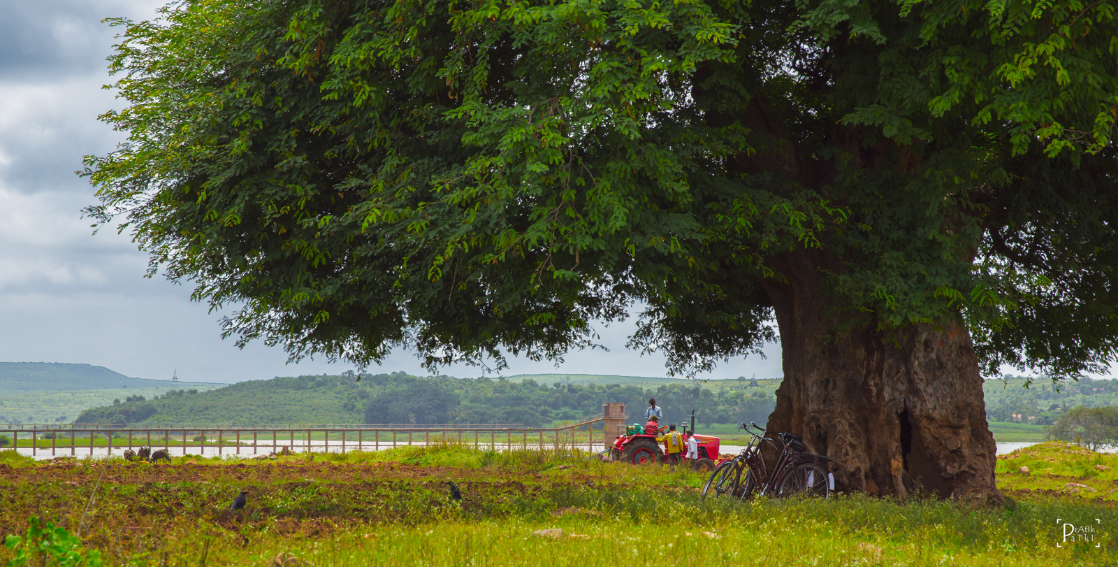 A scene straight out of the movies