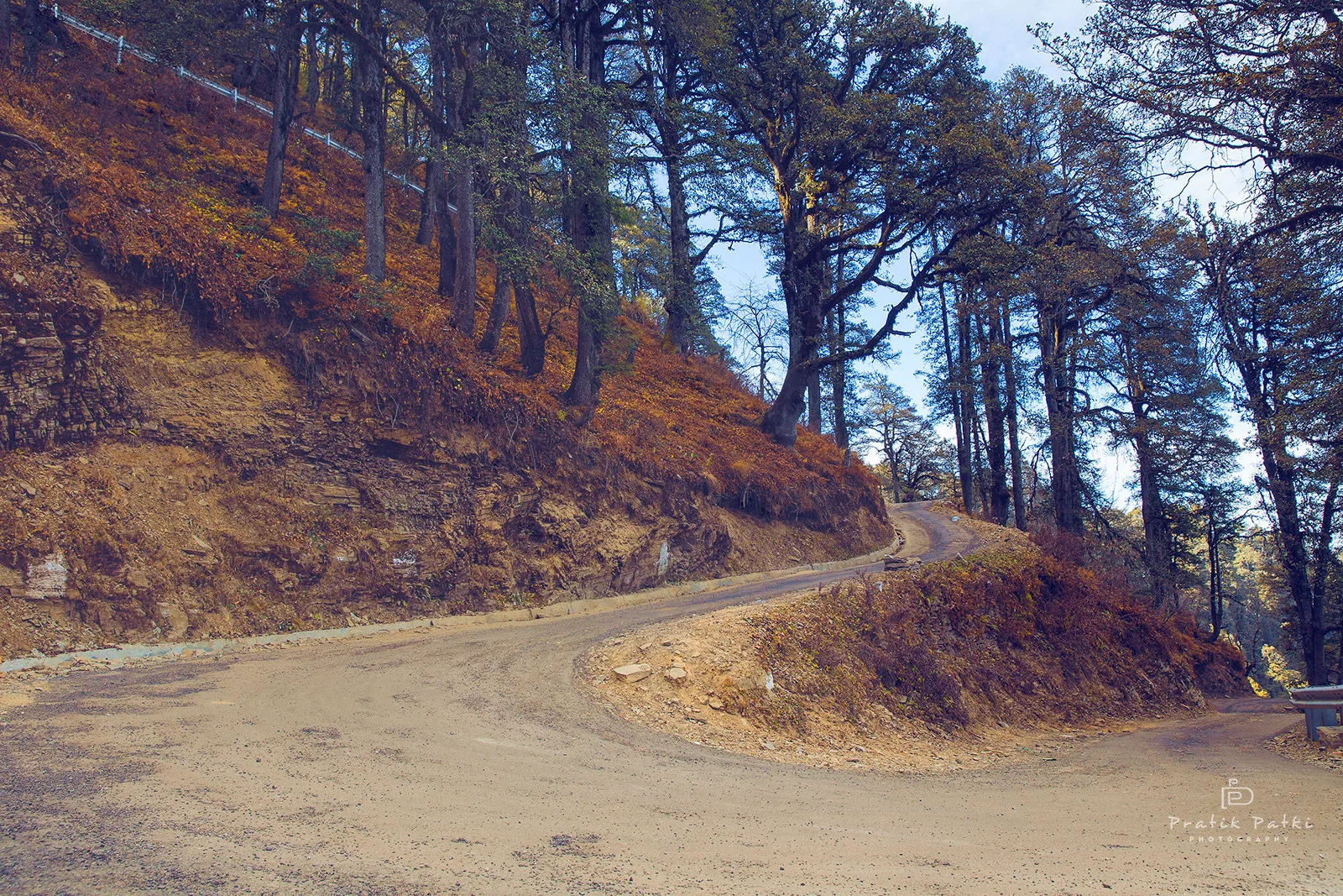 Of Twists & Turns