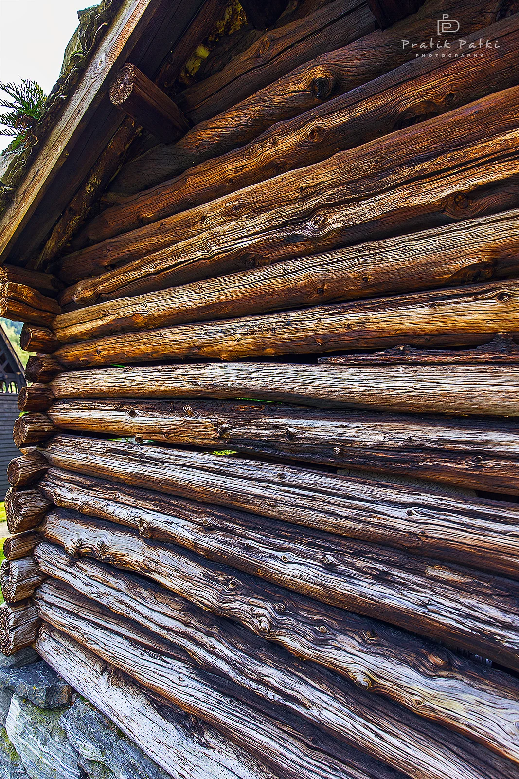 Wood & Tar