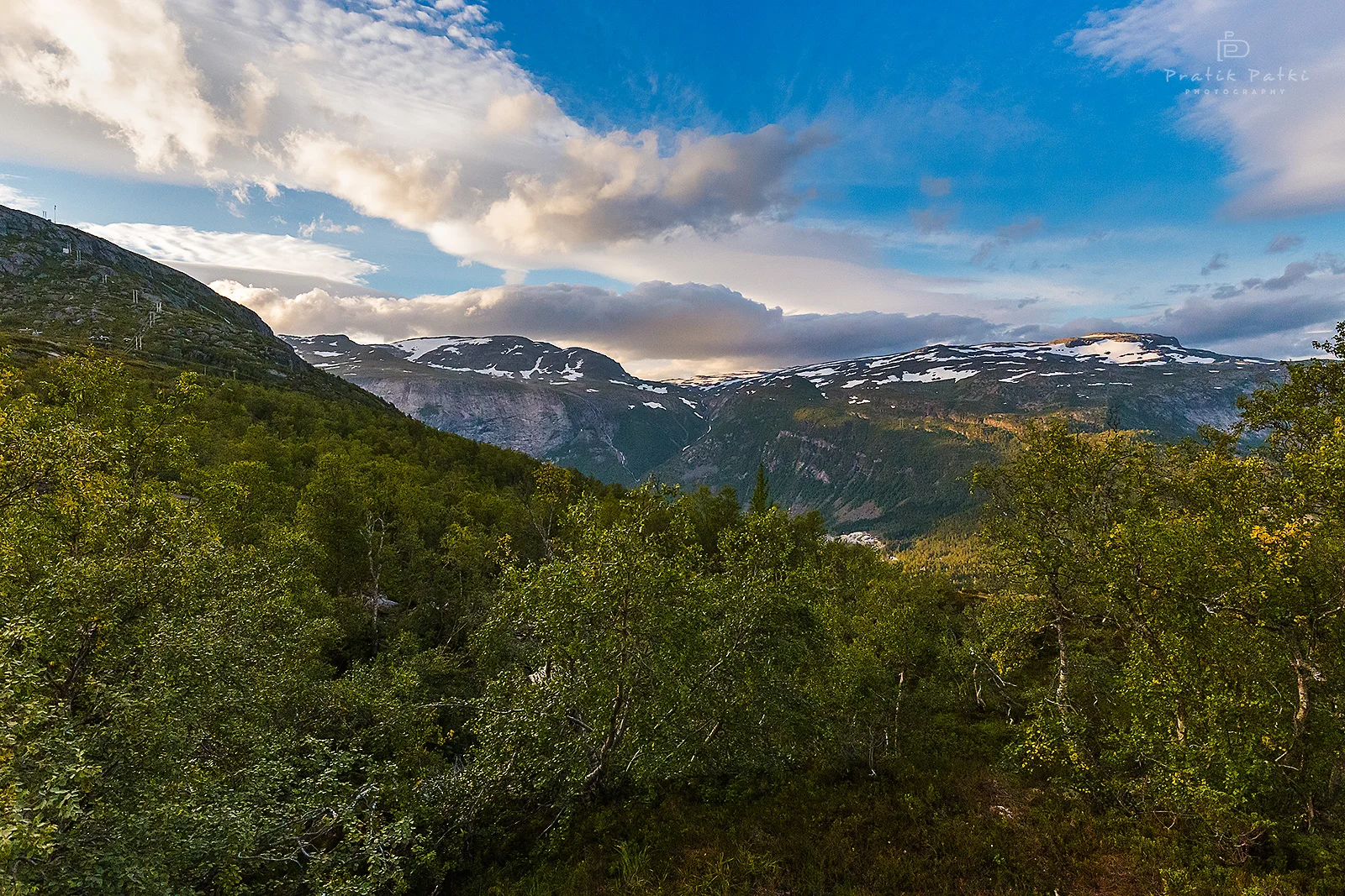 The Intermediate Plateau