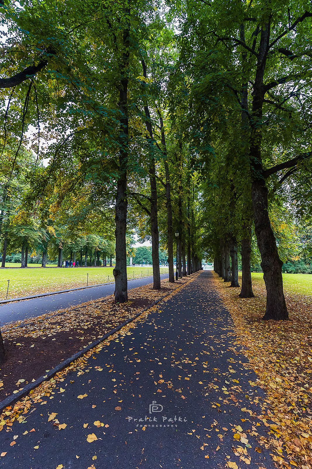 Autumn Arrives