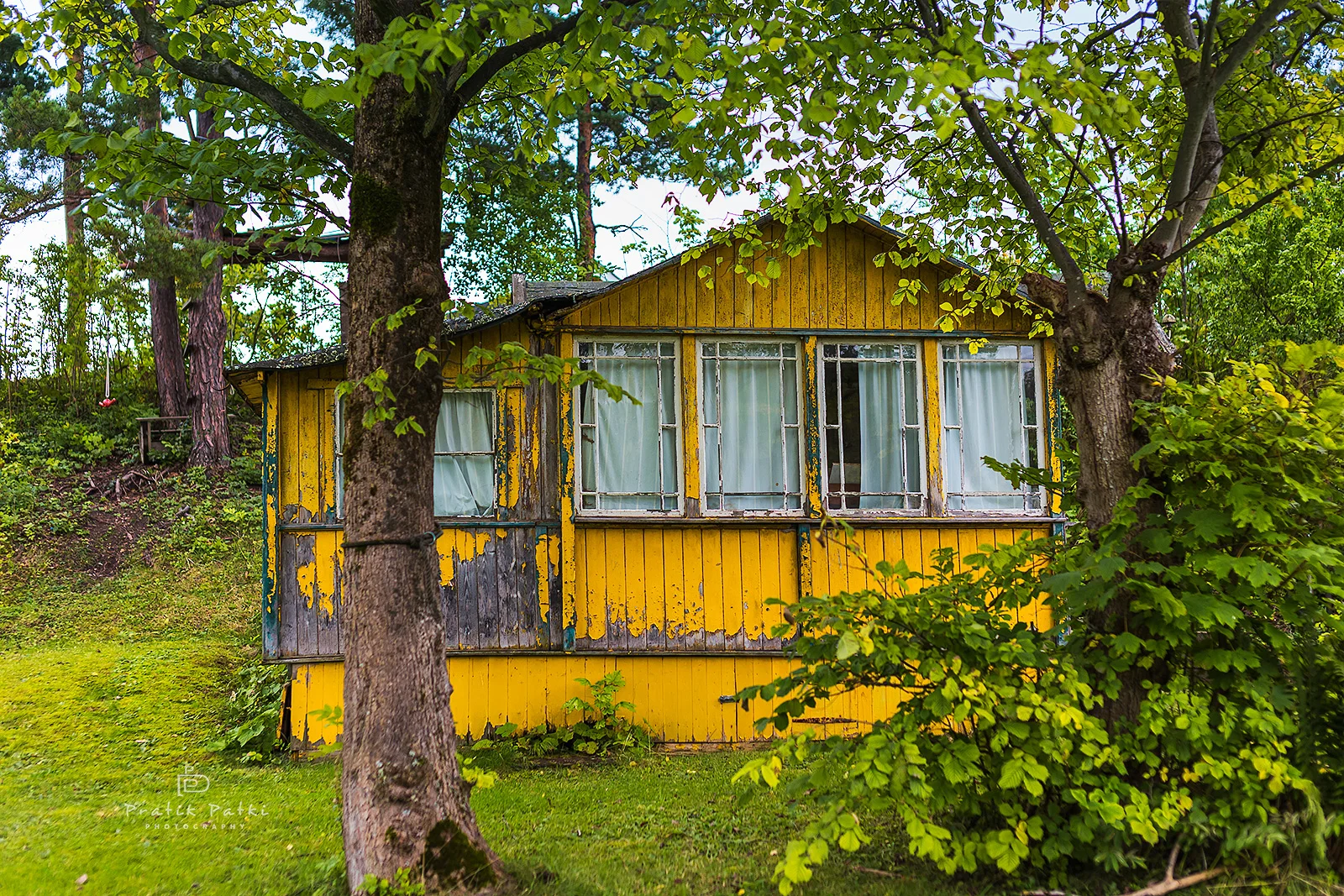 Of Yellow and Green