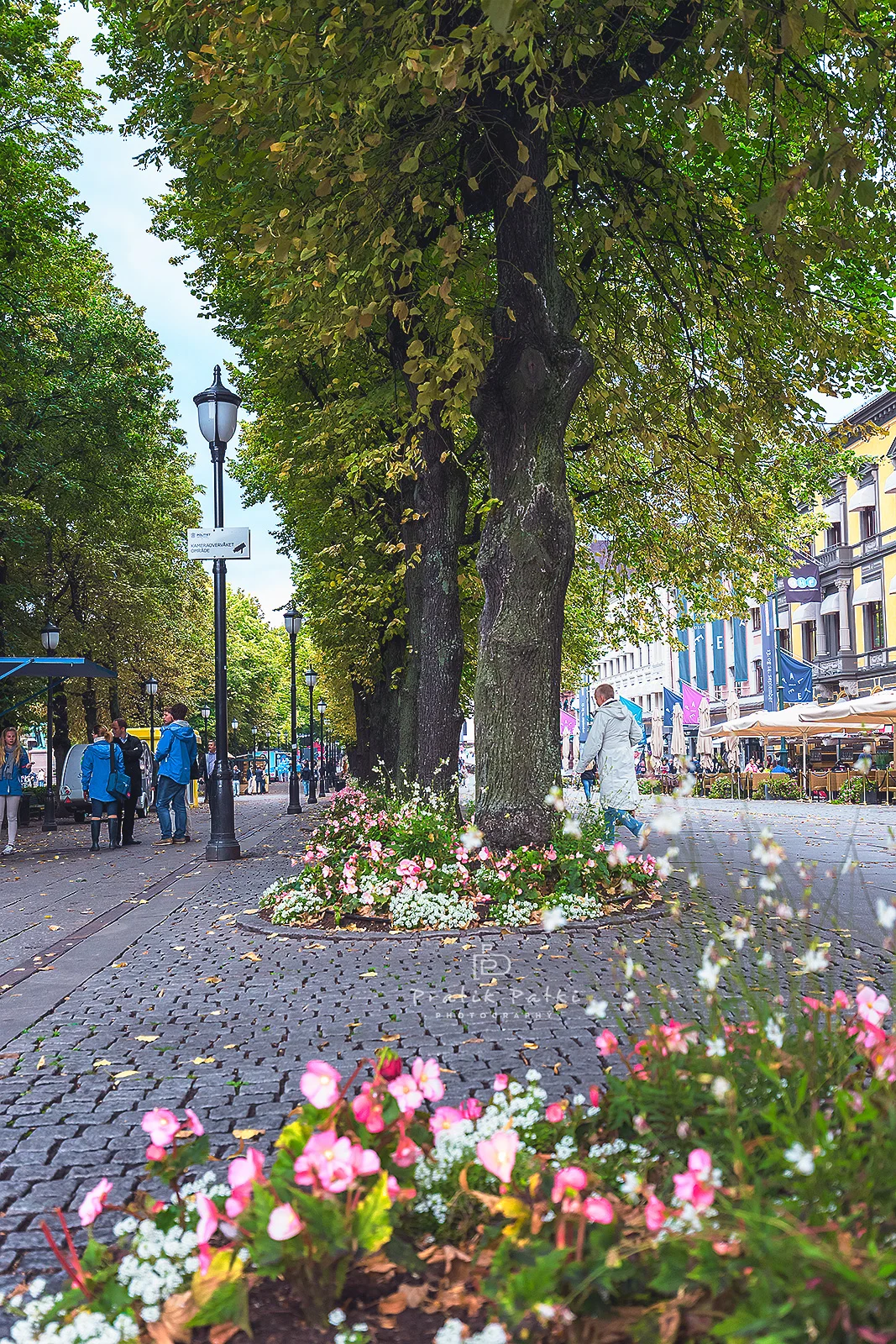 Oslo Main Street