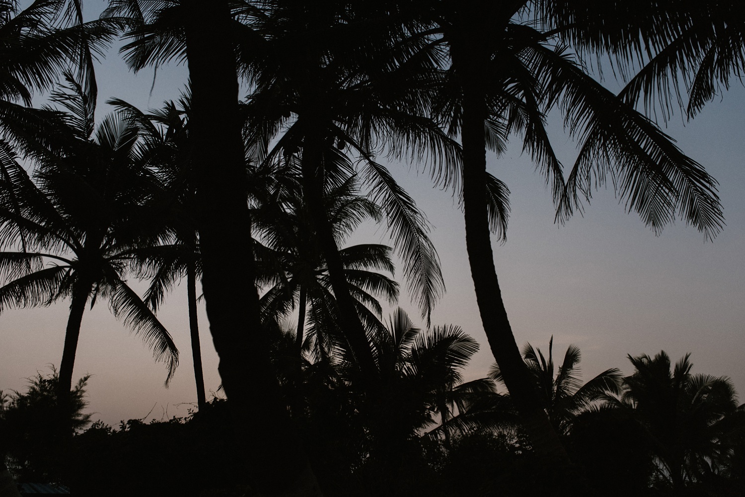 Destination wedding photographer Mumbai_0002.jpg