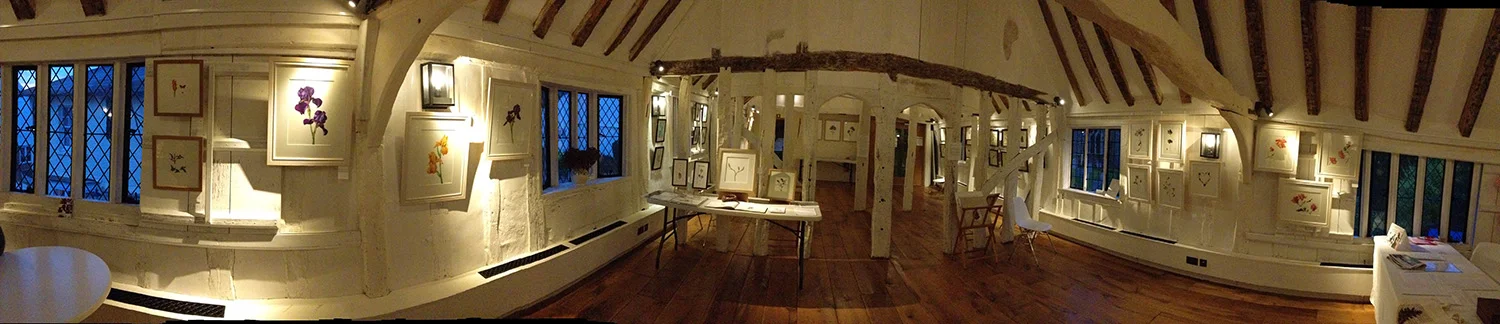 A panoramic view of the Guildroom set up for a botanical painting exhibition using our hanging system