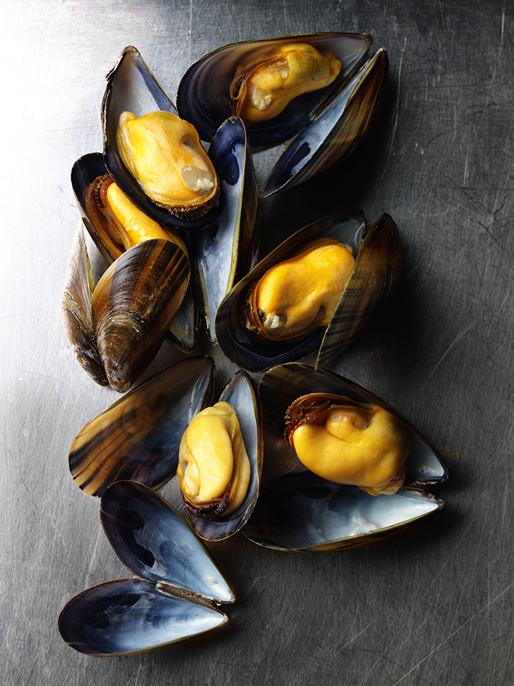 Mussels 3.jpg