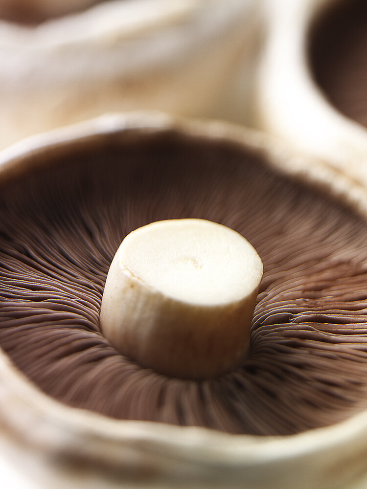 Mushroom copy 2.jpg