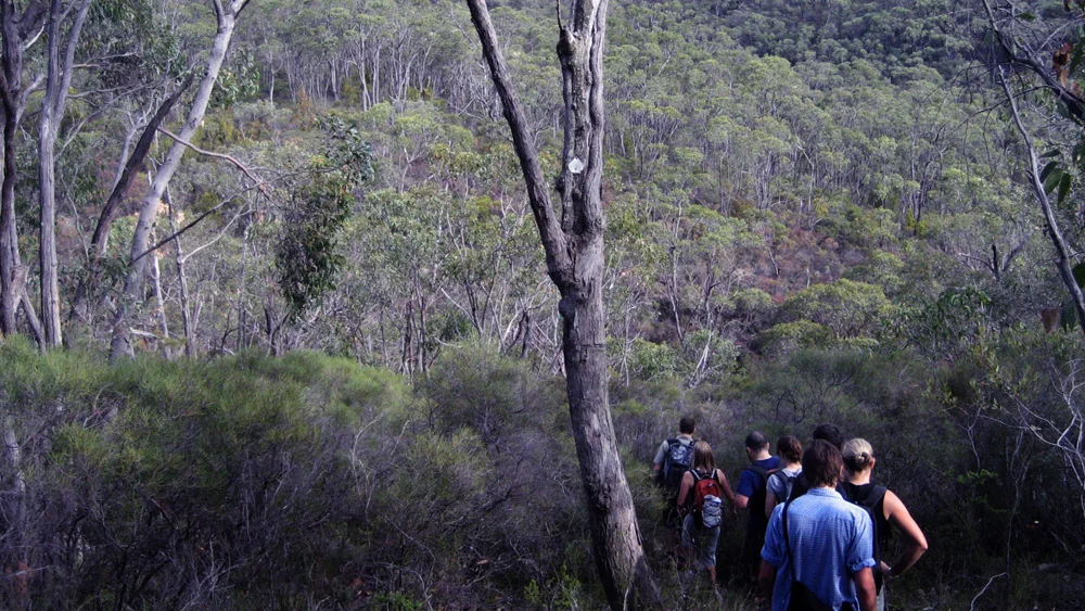WATERFALLGULLY_01.jpg