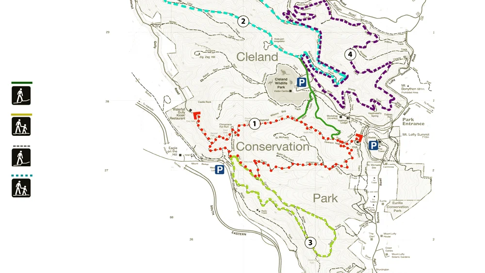 WATERFALLGULLY_05.jpg