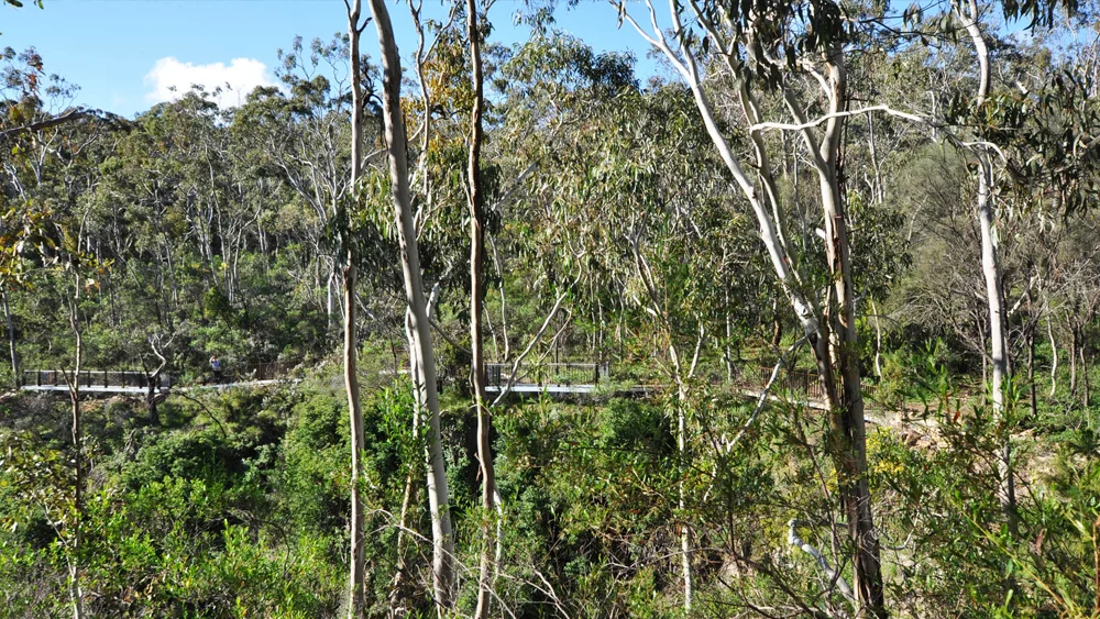 WATERFALLGULLY_08.jpg