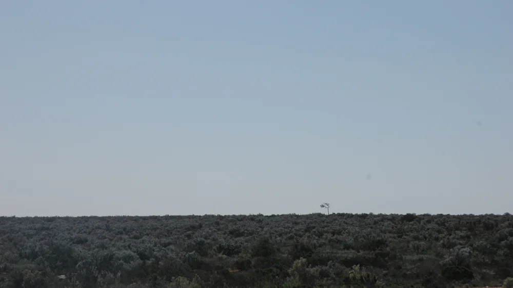 NULLABOR_03.jpg