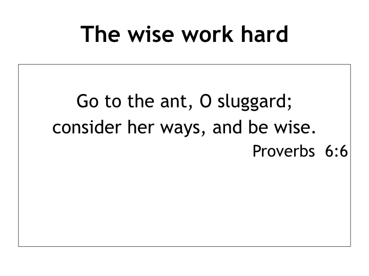 Living wisely in a foolish world - lessons from Proverbs.002.jpeg