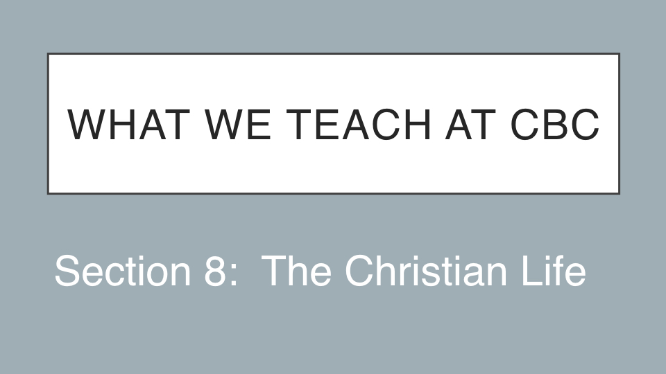 Sermon #42. CBC. 7.1.18 PM. Doctrinal Statement. The Christian Life. proj.001.jpeg