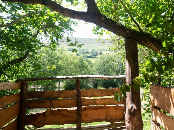 Trefoil Pod view.png