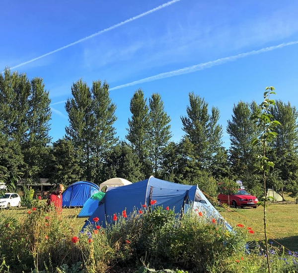 Orchard camping.png
