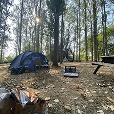 Wild camping.png