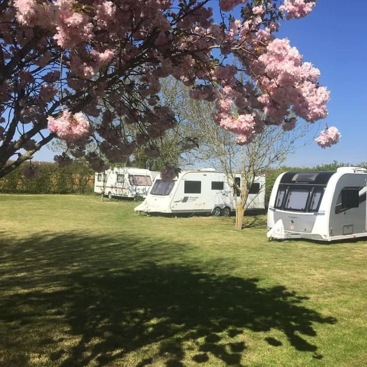 Limeburners caravans2 sq.jpg