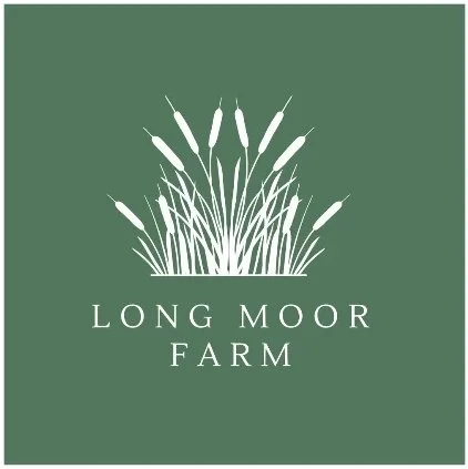 logo.jpg