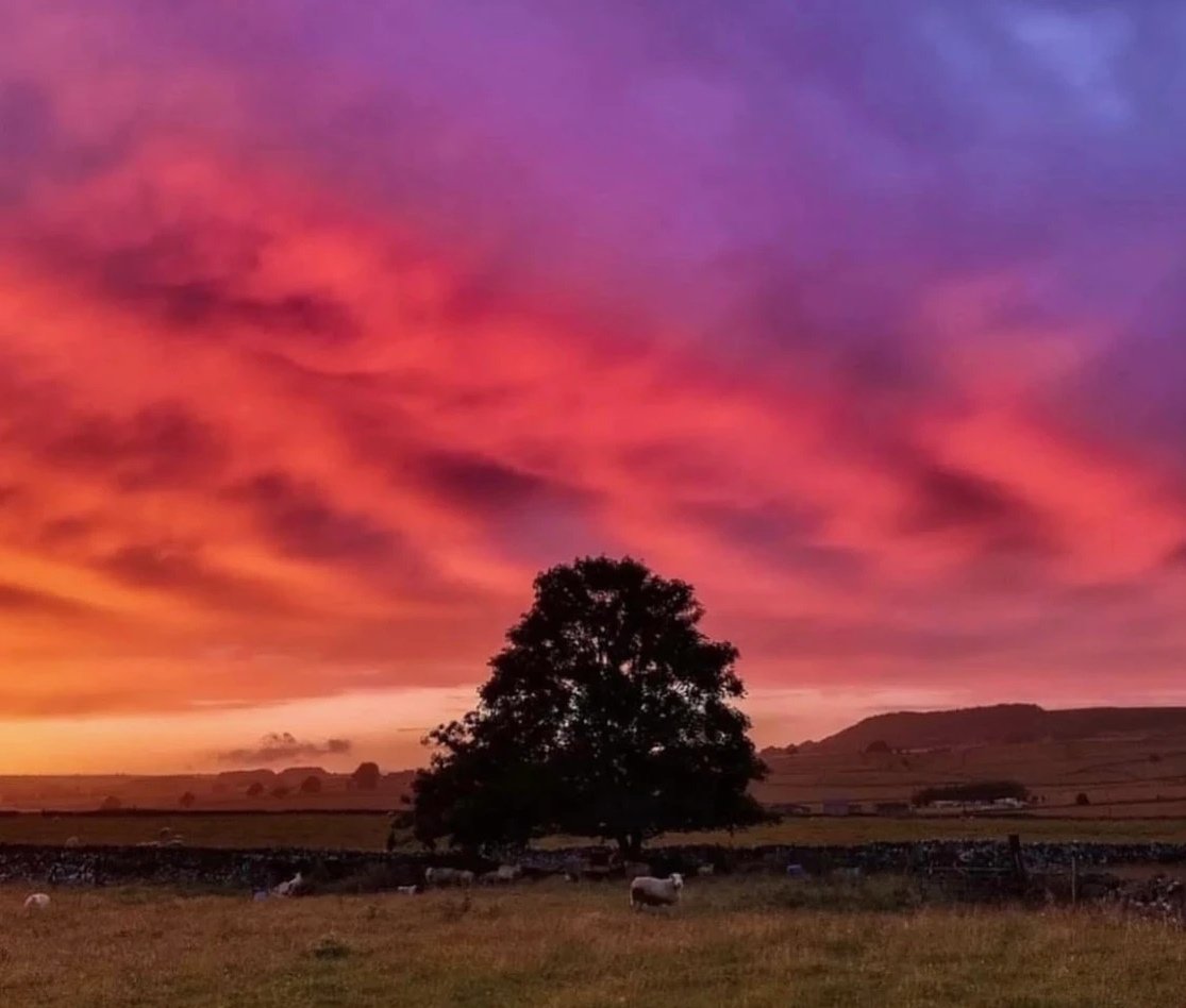 White House farm - sunset.jpg