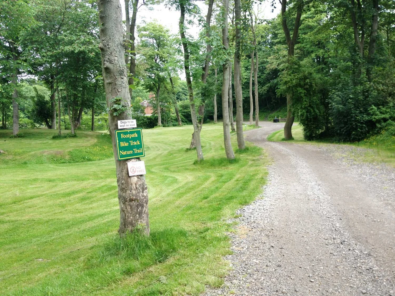 Trail.jpg