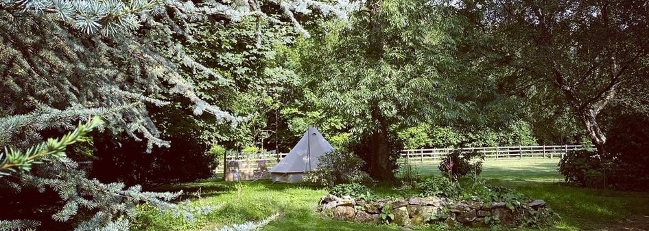 stay at forest edge header.jpg