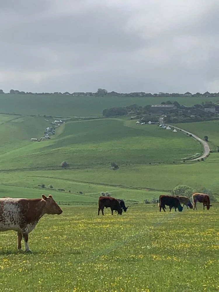 view to campsite.JPG