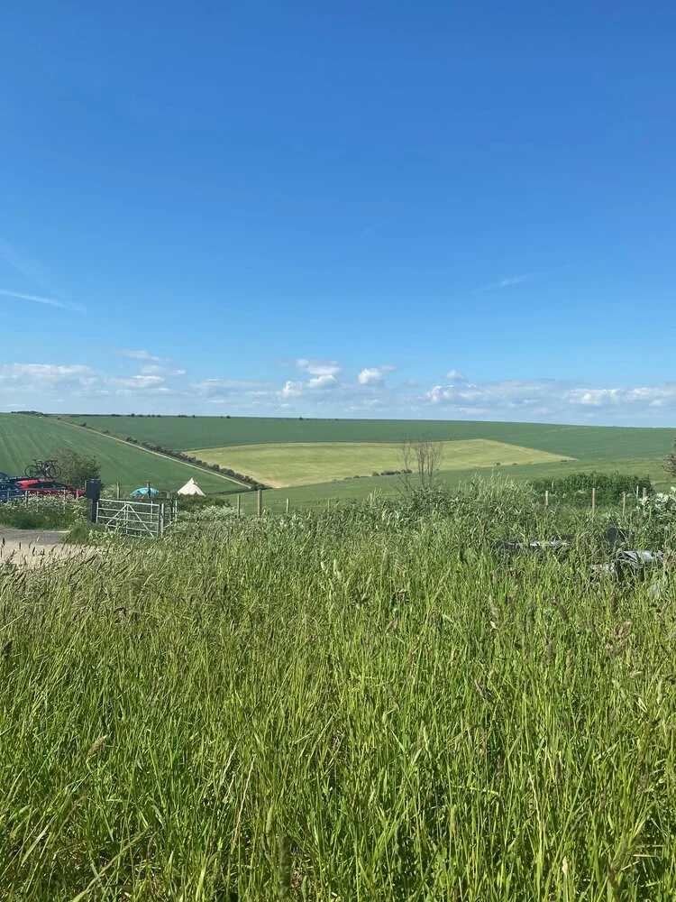 long grass.jpg