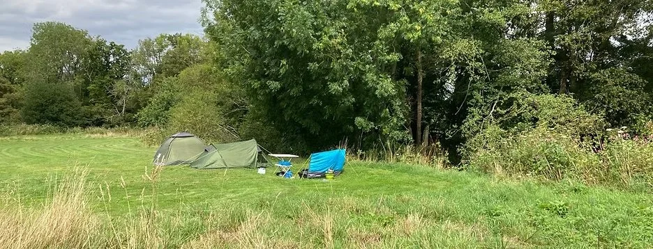 river bank Ouse Meadow.jpg