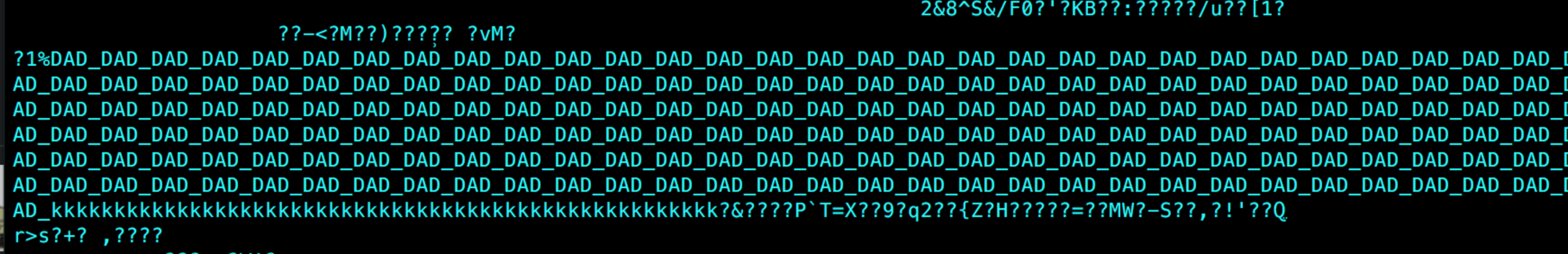 Steganography?