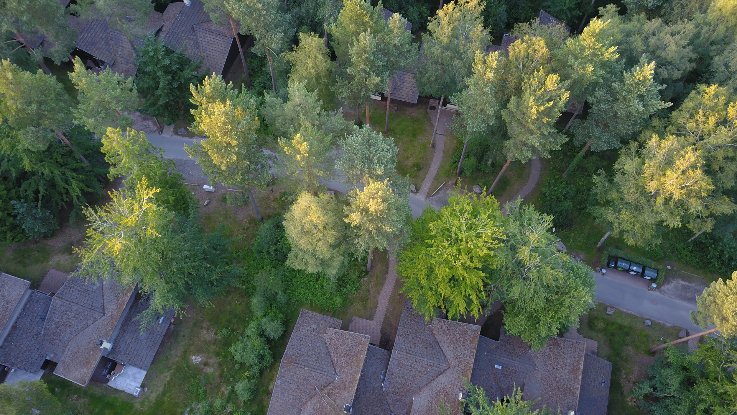 DJI_0168.JPG