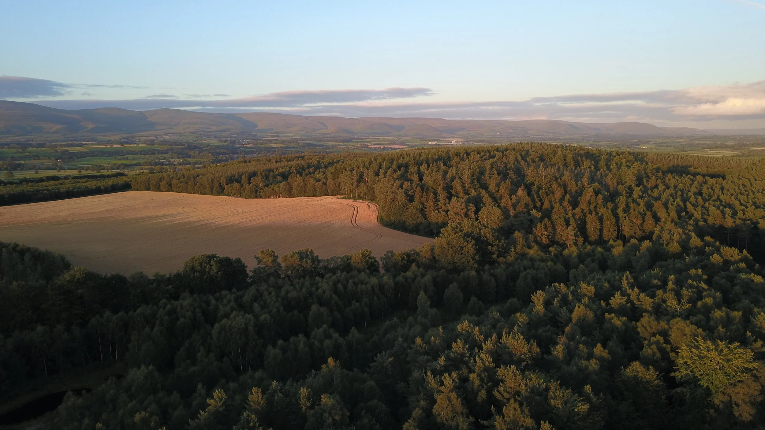 DJI_0163.JPG