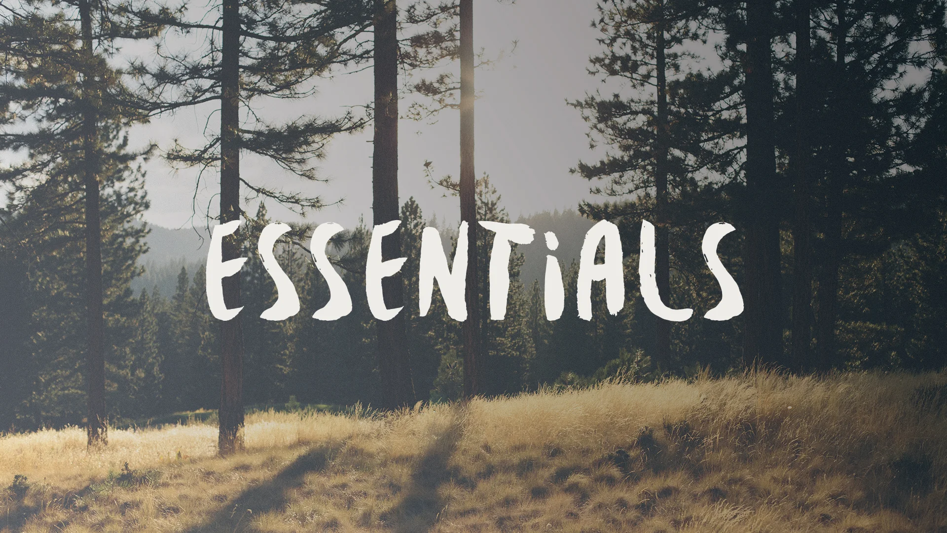 Essentials_Graphic.jpg