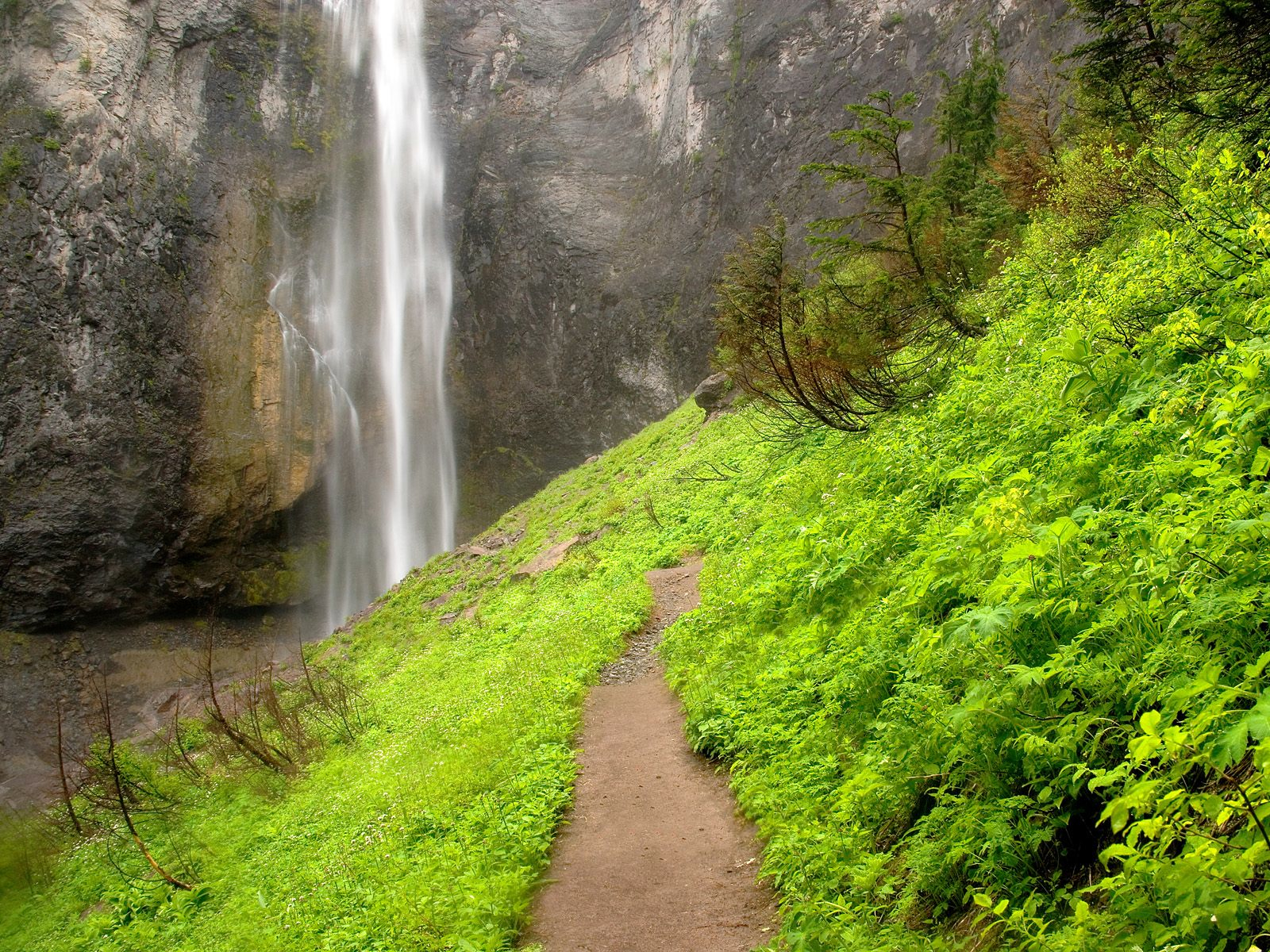 staying-on-the-path.jpg